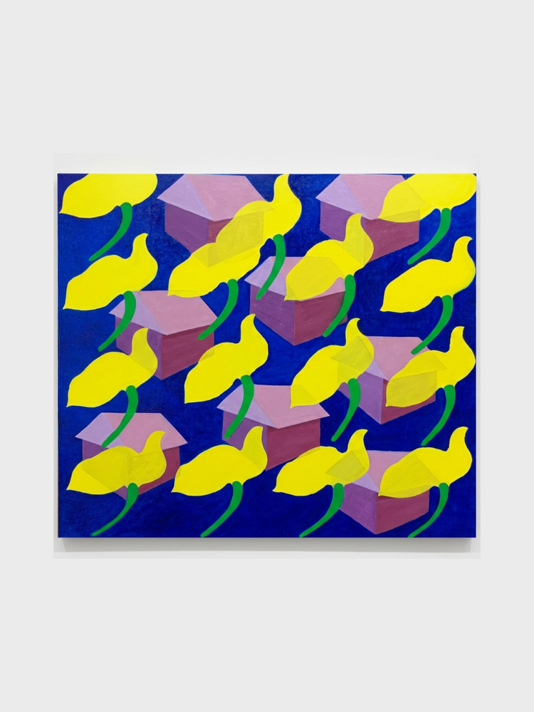 Better Homes and Gardens in the Sky