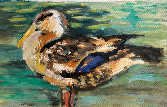 Duck