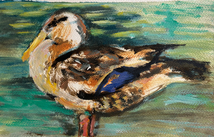 Duck